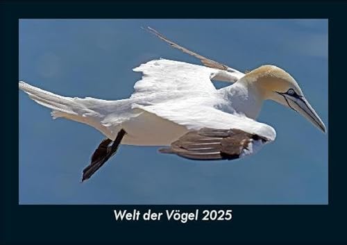 Welt der Vögel 2025 Fotokalender DIN A5: Monatskalender mit Bild-Motiven von Haustieren, Bauernhof, wilden Tieren und Raubtieren Welt der Vögel 2025 Fotokalender DIN A5: Monatskalender mit Bild-Motiven von Haustieren, Bauernhof, wilden Tieren und Raubtieren