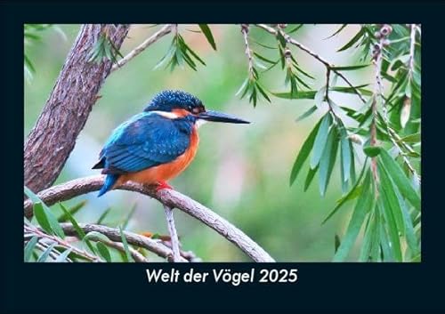 Welt der Vögel 2025 Fotokalender DIN A5: Monatskalender mit Bild-Motiven von Haustieren, Bauernhof, wilden Tieren und Raubtieren Welt der Vögel 2025 Fotokalender DIN A5: Monatskalender mit Bild-Motiven von Haustieren, Bauernhof, wilden Tieren und Raubtieren