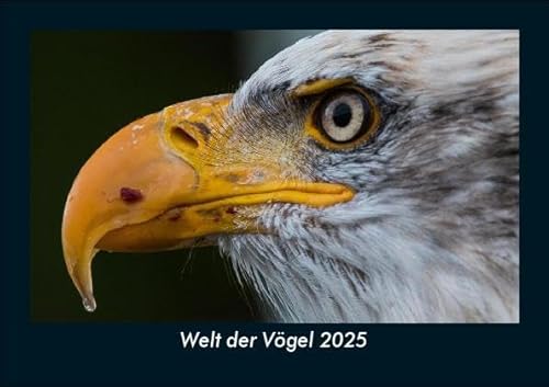 Welt der Vögel 2025 Fotokalender DIN A5: Monatskalender mit Bild-Motiven von Haustieren, Bauernhof, wilden Tieren und Raubtieren Welt der Vögel 2025 Fotokalender DIN A5: Monatskalender mit Bild-Motiven von Haustieren, Bauernhof, wilden Tieren und Raubtieren