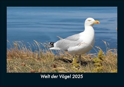 Welt der Vögel 2025 Fotokalender DIN A5: Monatskalender mit Bild-Motiven von Haustieren, Bauernhof, wilden Tieren und Raubtieren Welt der Vögel 2025 Fotokalender DIN A5: Monatskalender mit Bild-Motiven von Haustieren, Bauernhof, wilden Tieren und Raubtieren