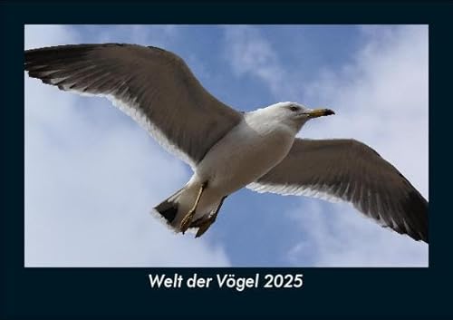 Welt der Vögel 2025 Fotokalender DIN A5: Monatskalender mit Bild-Motiven von Haustieren, Bauernhof, wilden Tieren und Raubtieren Welt der Vögel 2025 Fotokalender DIN A5: Monatskalender mit Bild-Motiven von Haustieren, Bauernhof, wilden Tieren und Raubtieren