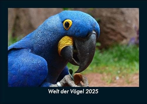 Welt der Vögel 2025 Fotokalender DIN A5: Monatskalender mit Bild-Motiven von Haustieren, Bauernhof, wilden Tieren und Raubtieren Welt der Vögel 2025 Fotokalender DIN A5: Monatskalender mit Bild-Motiven von Haustieren, Bauernhof, wilden Tieren und Raubtieren