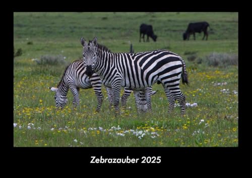 Zebrazauber 2025 Fotokalender DIN A3: Monatskalender mit Bild-Motiven von Haustieren, Bauernhof, wilden Tieren und Raubtieren Zebrazauber 2025 Fotokalender DIN A3: Monatskalender mit Bild-Motiven von Haustieren, Bauernhof, wilden Tieren und Raubtieren