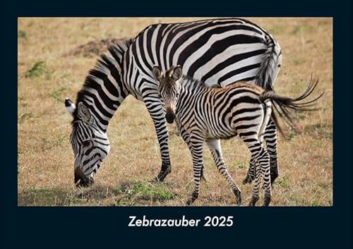 Zebrazauber 2025 Fotokalender DIN A4: Monatskalender mit Bild-Motiven von Haustieren, Bauernhof, wilden Tieren und Raubtieren Zebrazauber 2025 Fotokalender DIN A4: Monatskalender mit Bild-Motiven von Haustieren, Bauernhof, wilden Tieren und Raubtieren
