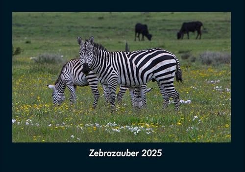 Zebrazauber 2025 Fotokalender DIN A4: Monatskalender mit Bild-Motiven von Haustieren, Bauernhof, wilden Tieren und Raubtieren Zebrazauber 2025 Fotokalender DIN A4: Monatskalender mit Bild-Motiven von Haustieren, Bauernhof, wilden Tieren und Raubtieren