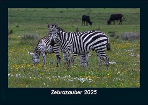 Zebrazauber 2025 Fotokalender DIN A5: Monatskalender mit Bild-Motiven von Haustieren, Bauernhof, wilden Tieren und Raubtieren Zebrazauber 2025 Fotokalender DIN A5: Monatskalender mit Bild-Motiven von Haustieren, Bauernhof, wilden Tieren und Raubtieren