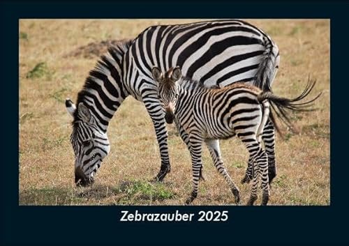 Zebrazauber 2025 Fotokalender DIN A5: Monatskalender mit Bild-Motiven von Haustieren, Bauernhof, wilden Tieren und Raubtieren Zebrazauber 2025 Fotokalender DIN A5: Monatskalender mit Bild-Motiven von Haustieren, Bauernhof, wilden Tieren und Raubtieren