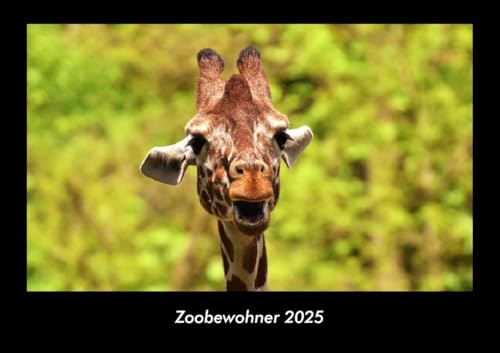 Zoobewohner 2025 Fotokalender DIN A3: Monatskalender mit Bild-Motiven von Haustieren, Bauernhof, wilden Tieren und Raubtieren Zoobewohner 2025 Fotokalender DIN A3: Monatskalender mit Bild-Motiven von Haustieren, Bauernhof, wilden Tieren und Raubtieren