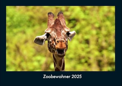 Zoobewohner 2025 Fotokalender DIN A4: Monatskalender mit Bild-Motiven von Haustieren, Bauernhof, wilden Tieren und Raubtieren Zoobewohner 2025 Fotokalender DIN A4: Monatskalender mit Bild-Motiven von Haustieren, Bauernhof, wilden Tieren und Raubtieren