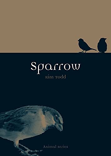 Sparrow (Animal)