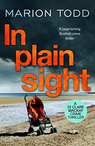 In Plain Sight: A page-turning Scottish crime thriller (Detective Clare MacKay, Band 2)