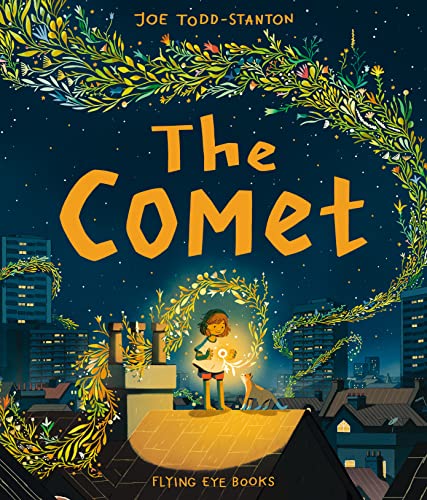 The Comet: Joe Todd-Stanton von Flying Eye Books