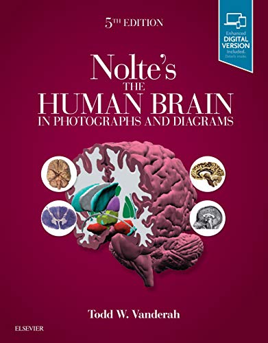 Nolte's The Human Brain in Photographs and Diagrams: With STUDENT CONSULT Online Access von Elsevier