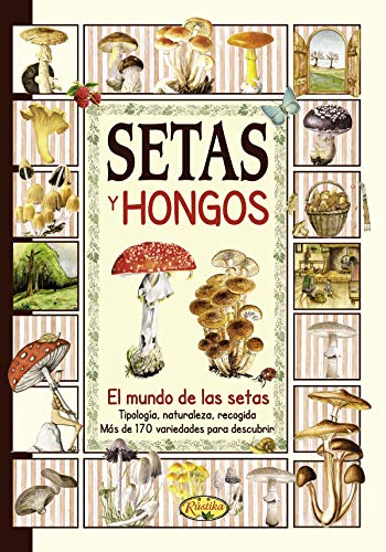 Setas y hongos (El sabor de nuestra tierra)