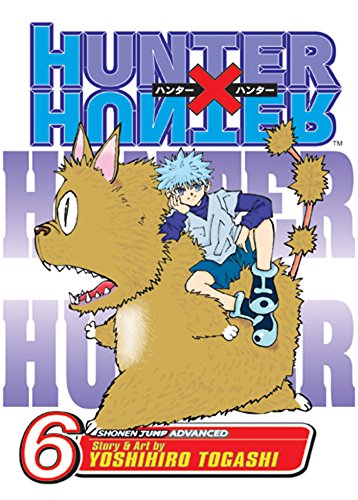 HUNTER X HUNTER GN VOL 06: NEN SENSE