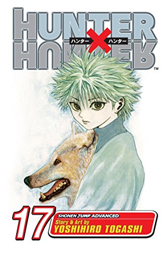 HUNTER X HUNTER GN VOL 17: A Fierce Three-Way Struggle HUNTER X HUNTER GN VOL 17: A Fierce Three-Way Struggle