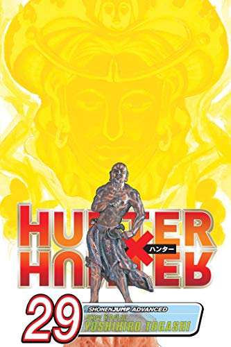 HUNTER X HUNTER TP VOL 29 (C: 1-0-2): Memory