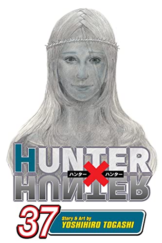 Hunter x Hunter, Vol. 37 (HUNTER X HUNTER GN, Band 37) von Viz LLC