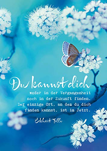 Eckhart Tolle Postkarten "Du kannst dich": VE 10 von Kamphausen Media GmbH