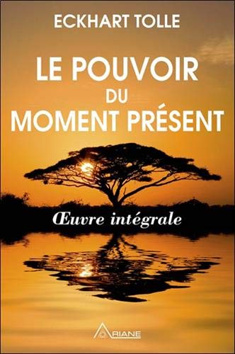 Le pouvoir du moment présent - Oeuvre intégrale - Guide d'éveil spirituel: Guide d'éveil spirituel - Oeuvre intégrale von ARIANE
