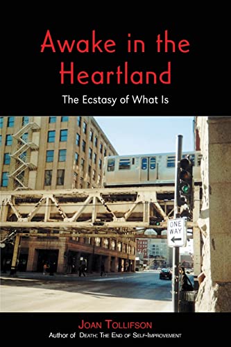 Awake in the Heartland: The Ecstasy of What Is von New Sarum Press