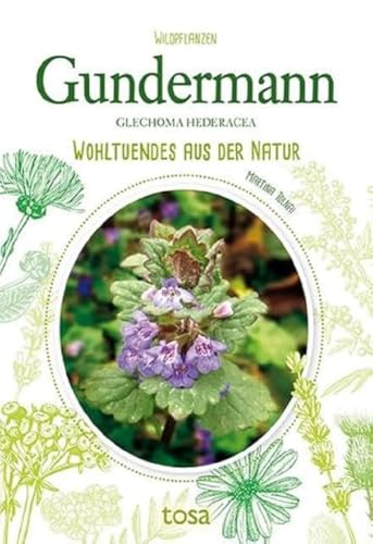 Gundermann: Wohltuendes aus der Natur von tosa GmbH
