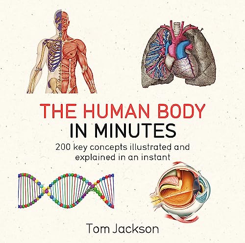 The Human Body in Minutes: 200 key concepts illustrated and explained in an instant von Quercus