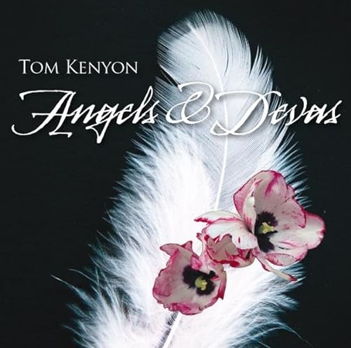 Angels & Devas: Stärkung aus den Lichtreichen von Amra Verlag