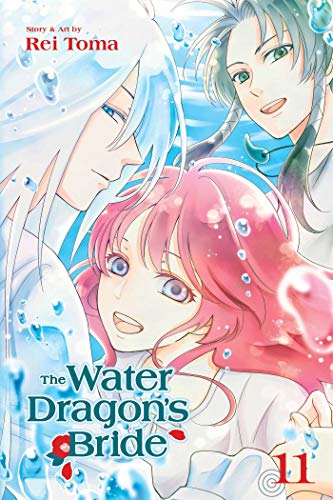 The Water Dragon's Bride, Vol. 11 (WATER DRAGON BRIDE GN, Band 11)