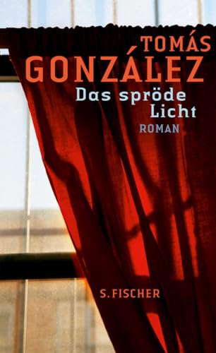 Das spröde Licht: Roman