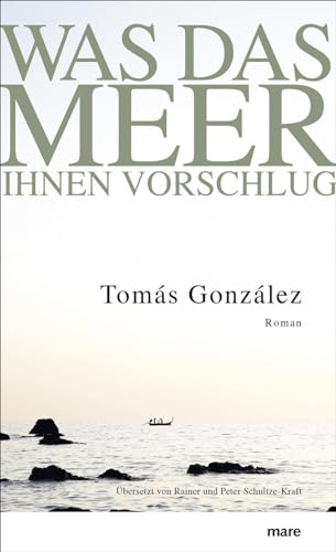 Was das Meer ihnen vorschlug: Roman