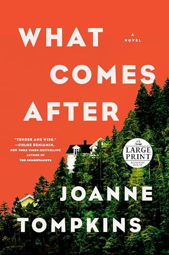 What Comes After: A Novel (Random House Large Print) von Random House Books for Young Readers