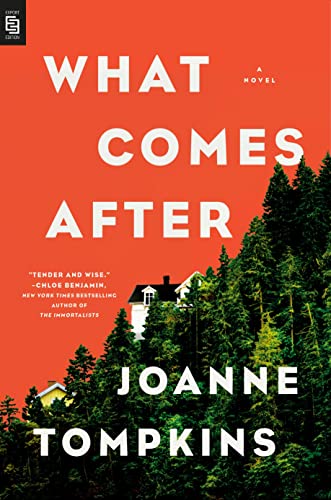 What Comes After: A Novel von Riverhead Books