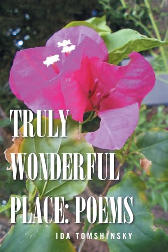 TRULY WONDERFUL PLACE: POEMS von Xlibris US