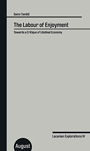 The Labour of Enjoyment: Towards a Critique of Libidinal Economy (Großes Format, Band 4)