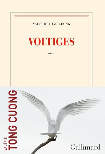 Voltiges von GALLIMARD