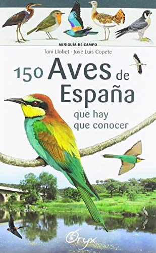 150 aves de España: que hay que conocer (Miniguía de campo)