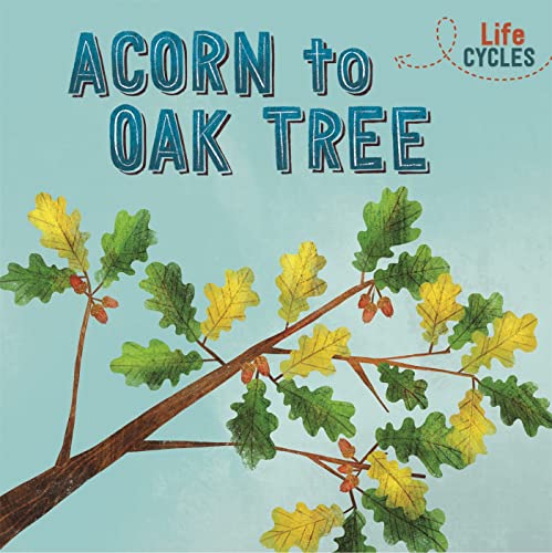 Acorn to Oak Tree von Wayland