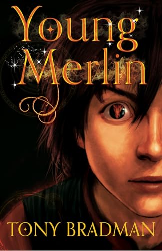 Young Merlin von Barrington Stoke