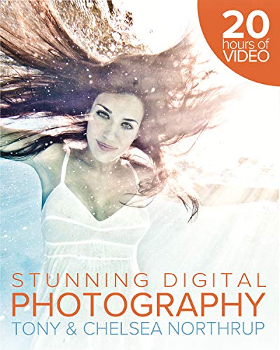 Tony Northrup's Dslr Book: How to Create Stunning Digital Photography