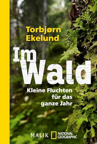 Im Wald: Kleine Fluchten für das ganze Jahr