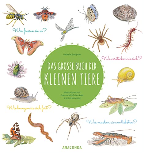 Das große Buch der kleinen Tiere: Wunderschön illustriertes Kindersachbuch ab 7 Jahren. Was fressen sie so? Wie bewegen sie sich fort? Wo verstecken sie sich? Was machen sie am liebsten? von ANACONDA