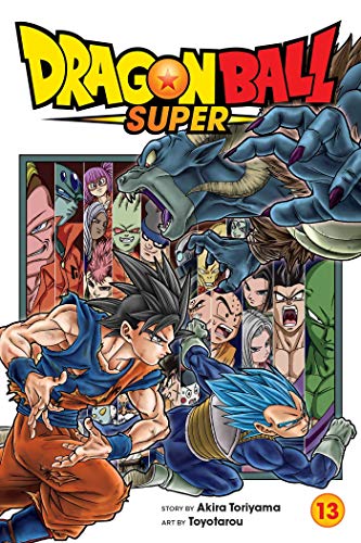 Dragon Ball Super, Vol. 13: Volume 13 (DRAGON BALL SUPER GN, Band 13)