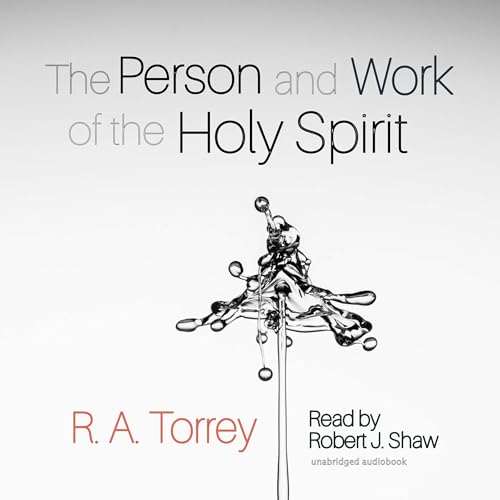 The Person and Work of The Holy Spirit von Anson Street Press