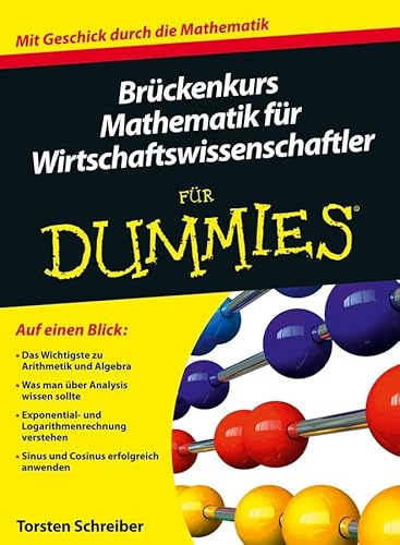 Brückenkurs Mathematik für Wirtschaftswissenschaftler für Dummies