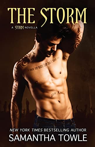 The Storm (The Storm Series, Band 4) von CREATESPACE