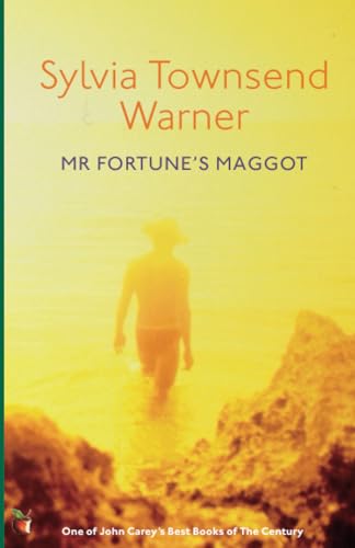 Mr Fortune's Maggot (Virago Modern Classics) von Virago
