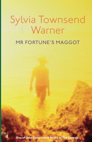 Mr Fortune's Maggot (Virago Modern Classics)