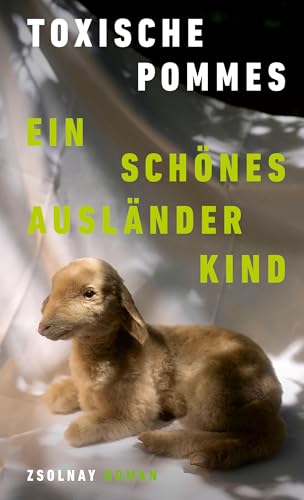 Ein schönes Ausländerkind: Roman