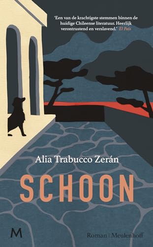 Schoon: roman von J.M. Meulenhoff